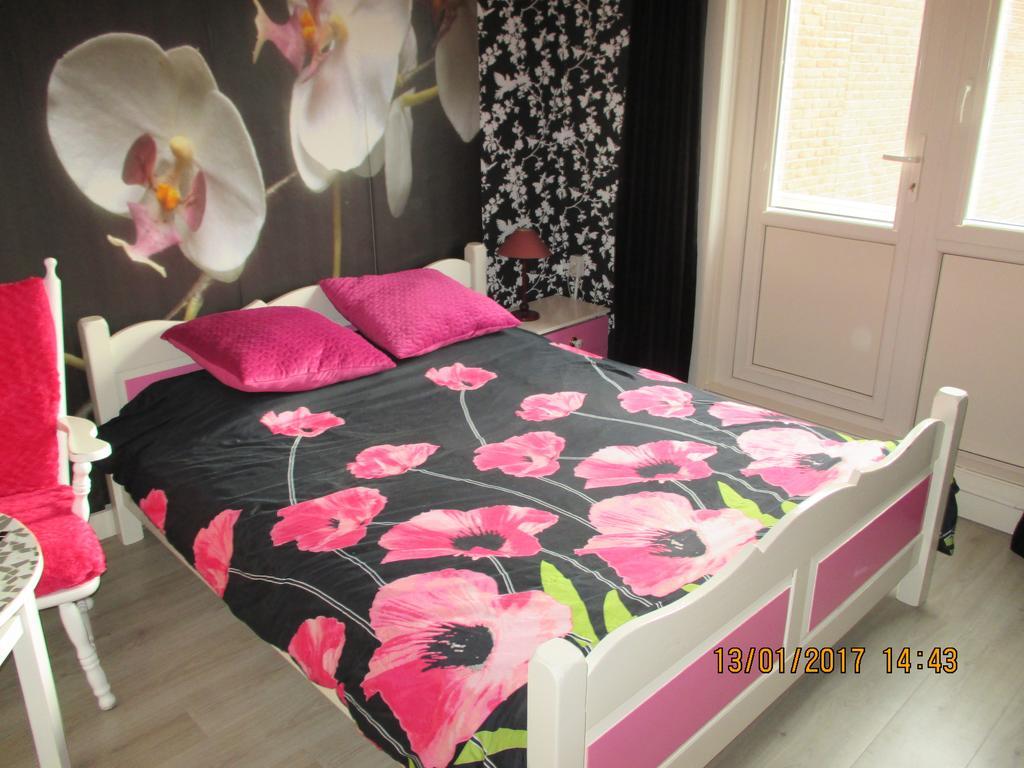 De Weg Naar Het Strand Bed & Breakfast Егмонд ан Зее Екстериор снимка